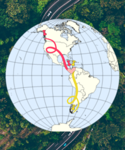 Map image of Western Hemisphere outlining the route of the Peace and Dignity Journey. There are two waves, the North Wave from British Columbia to Panama City, Panama. The South Wave from Tierra del Fuego, Argentina to Panama City, Panama