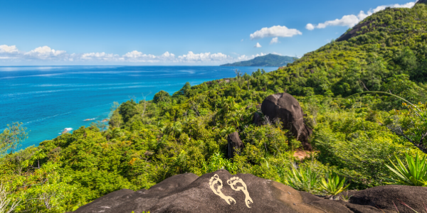 Image of an ocean in the background, with a mountain and forest in the foreground. Immediately in front of the viewer are two barefoot footprints.