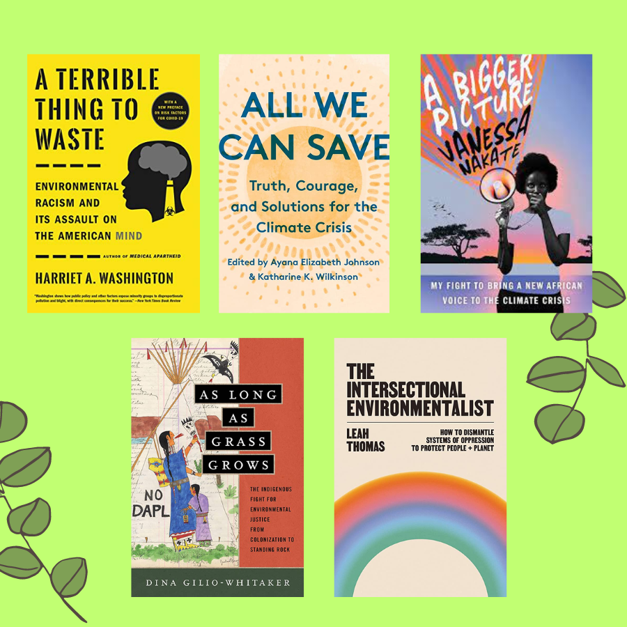 environmental justice books