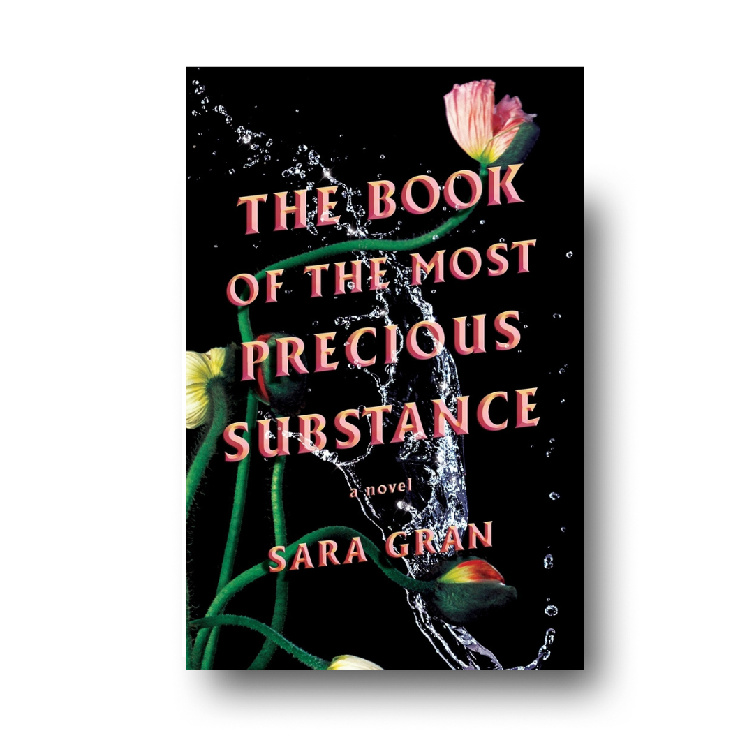 The Book of the Most Precious Substance by Sara Gran